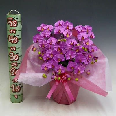 造花 光触媒 胡蝶蘭 ミディ Sサイズ 赤 5本立ち テーブルサイズ