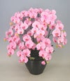 造花 光触媒 胡蝶蘭 大輪 薄ピンク Ｍ 10本立ち