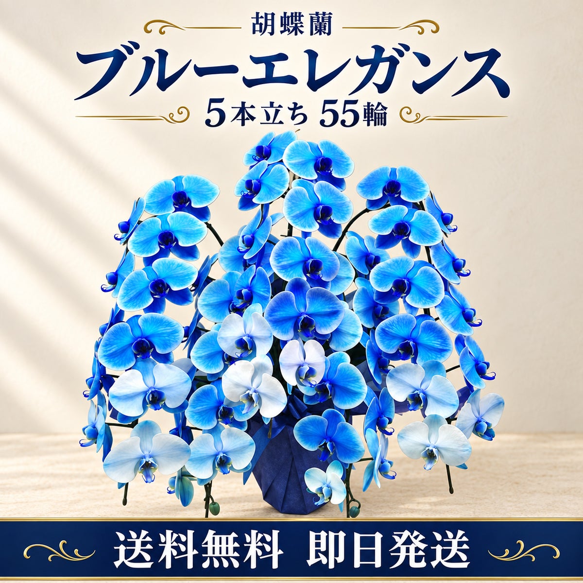 胡蝶蘭 ブルーエレガンス 5本立ち 55輪 送料無料 即日発送
