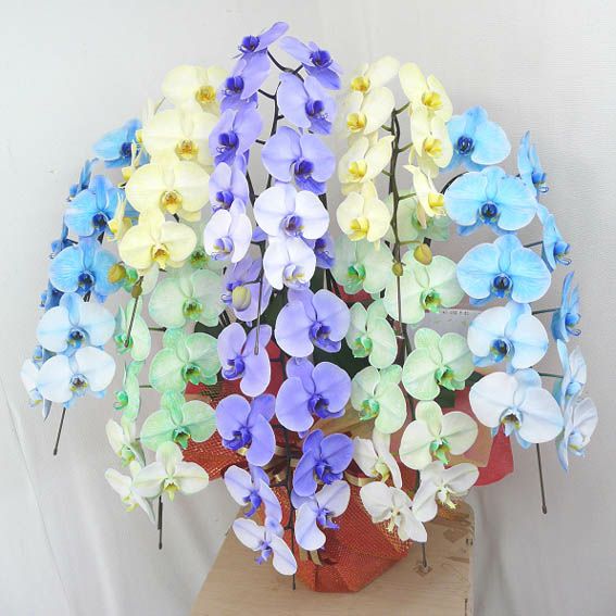 カラフルエレガンス 4色ミックス 8本立ちの花姿