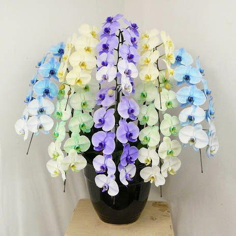 カラフルエレガンス 4色ミックス 8本立ちの花姿